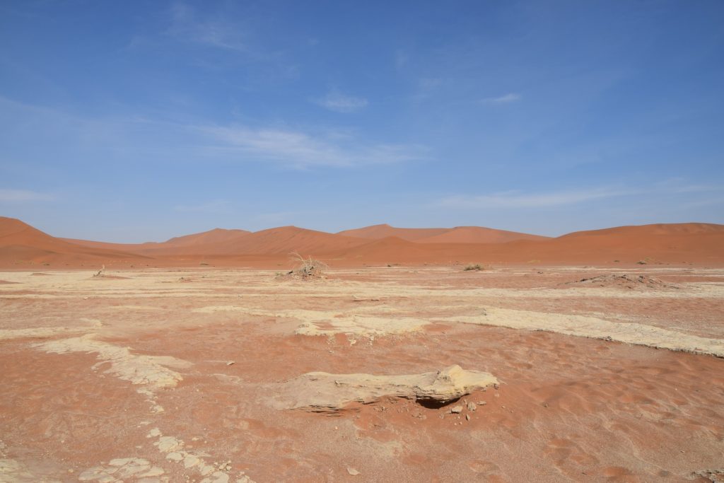 Copper coloured sand dunes are a hallmark of Sossussvlei