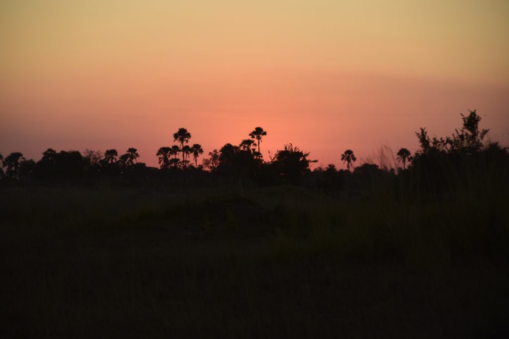 Sky turned orange at dusk